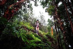 BIB: 
                            <button type="button" onclick="openModal(26205387)" class="btn btn-primary btn-sm float-right btn-popup" data-toggle="modal" data-target=".modal-high-quality">
                        <i class="fas fa-shopping-cart"></i> Add to Cart
                    </button>
                                            <button type="button" onclick="isThisMe(26205387, true)" class="btn btn-success btn-sm float-right btn-popup btn-isme hidden" data-toggle="tooltip" data-placement="bottom" title="นี่คือรูปของคุณใช่ไหม คลิกที่นี่เพื่อเอาเข้าอัลบั้ม">
                        <i class="fas fa-plus"></i> Add to album
                    </button>
                    <button type="button" onclick="isThisMe(26205387, false)" class="btn btn-warning btn-sm float-right btn-popup btn-isnotme hidden">
                        <i class="fas fa-ban"></i> Remove from album
                    </button>